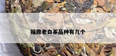 福鼎老白茶品种有几个