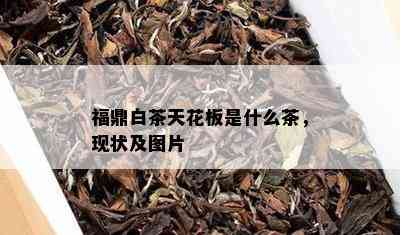 福鼎白茶天花板是什么茶，现状及图片