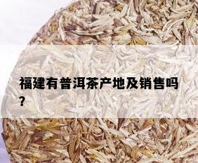 福建有普洱茶产地及销售吗？