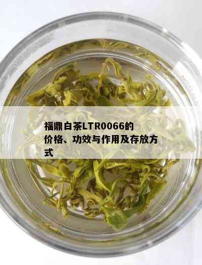 福鼎白茶LTR0066的价格、功效与作用及存放方式