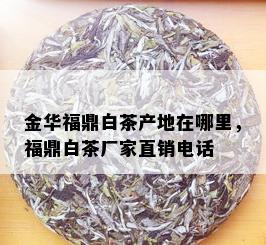 金华福鼎白茶产地在哪里，福鼎白茶厂家直销电话