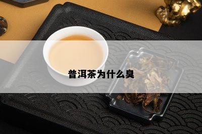 普洱茶为什么臭