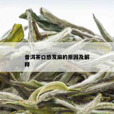 普洱茶口感发麻的原因及解释