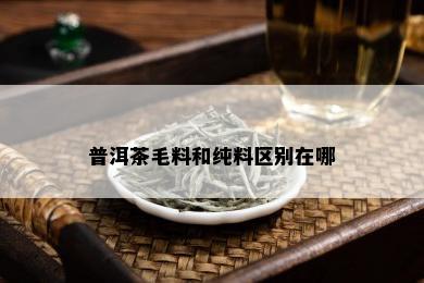 普洱茶毛料和纯料区别在哪