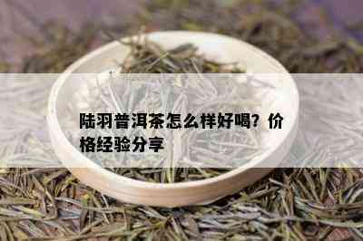 陆羽普洱茶怎么样好喝？价格经验分享