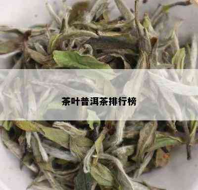 茶叶普洱茶排行榜