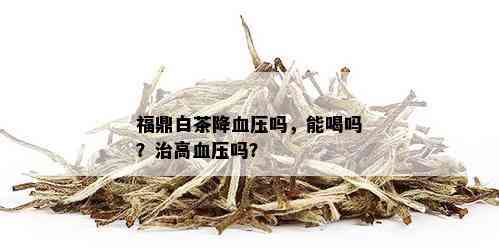 福鼎白茶降血压吗，能喝吗？治高血压吗？