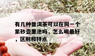 有几种普洱茶可以在同一个紫砂壶里泡吗，怎么喝更好，区别和特点