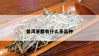 普洱茶都有什么茶品种