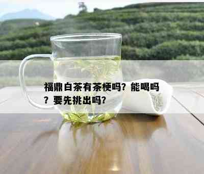 福鼎白茶有茶梗吗？能喝吗？要先挑出吗？