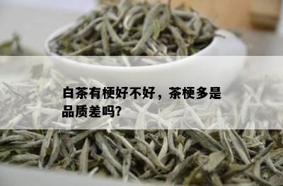 白茶有梗好不好，茶梗多是品质差吗？