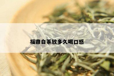 福鼎白茶放多久喝口感