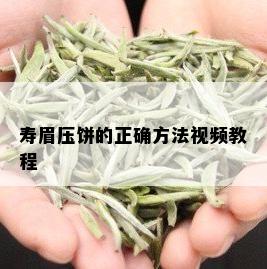 寿眉压饼的正确方法视频教程