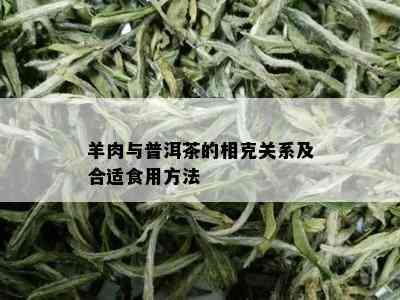 羊肉与普洱茶的相克关系及合适食用方法