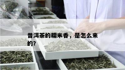 普洱茶的糯米香，是怎么来的？