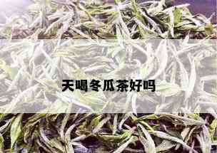 天喝冬瓜茶好吗