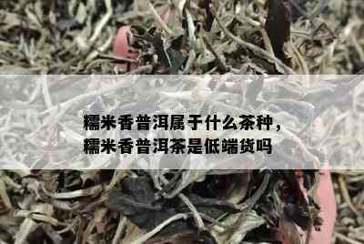 糯米香普洱属于什么茶种，糯米香普洱茶是低端货吗