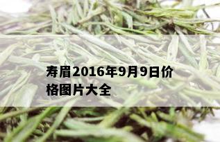 寿眉2016年9月9日价格图片大全