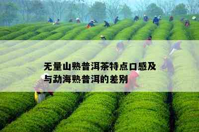 无量山熟普洱茶特点口感及与勐海熟普洱的差别