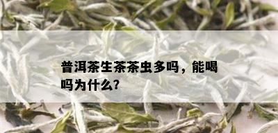 普洱茶生茶茶虫多吗，能喝吗为什么？