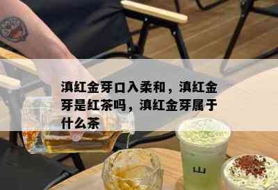 滇红金芽口入柔和，滇红金芽是红茶吗，滇红金芽属于什么茶