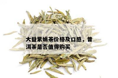 大益紫娟茶价格及口感，普洱茶是否值得购买