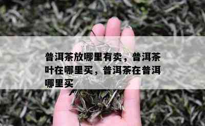 普洱茶放哪里有卖，普洱茶叶在哪里买，普洱茶在普洱哪里买