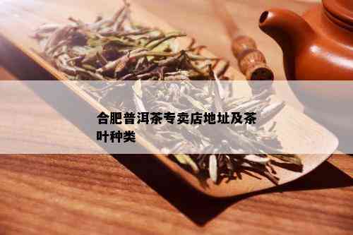 合肥普洱茶专卖店地址及茶叶种类