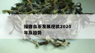 福鼎白茶发展现状2020年及趋势