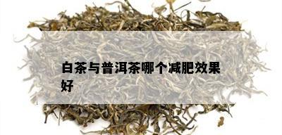 白茶与普洱茶哪个减肥效果好