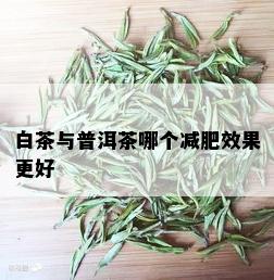 白茶与普洱茶哪个减肥效果更好