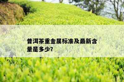 普洱茶重金属标准及最新含量是多少？