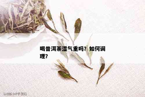 喝普洱茶湿气重吗？如何调理？