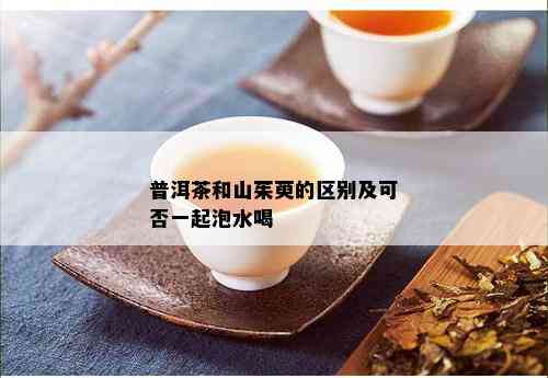 普洱茶和山茱萸的区别及可否一起泡水喝