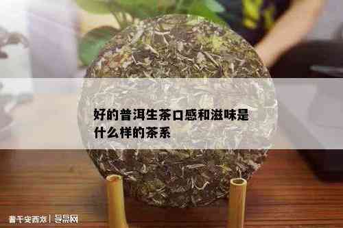 好的普洱生茶口感和滋味是什么样的茶系