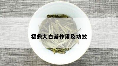 福鼎大白茶作用及功效