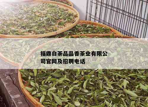 福鼎白茶品品香茶业有限公司官网及招聘电话