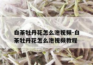 白茶牡丹花怎么泡视频-白茶牡丹花怎么泡视频教程