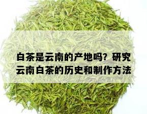 白茶是云南的产地吗？研究云南白茶的历史和制作方法