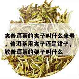 夹普洱茶的夹子叫什么来着，普洱茶用夹子还是钳子，放普洱茶的架子叫什么