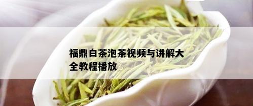 福鼎白茶泡茶视频与讲解大全教程播放