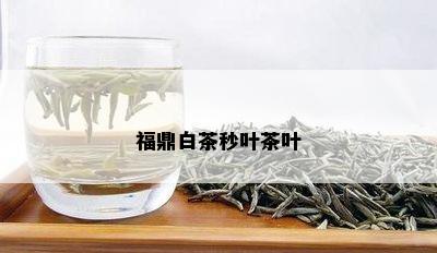 福鼎白茶秒叶茶叶