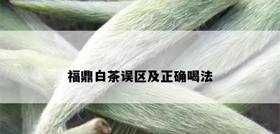 福鼎白茶误区及正确喝法