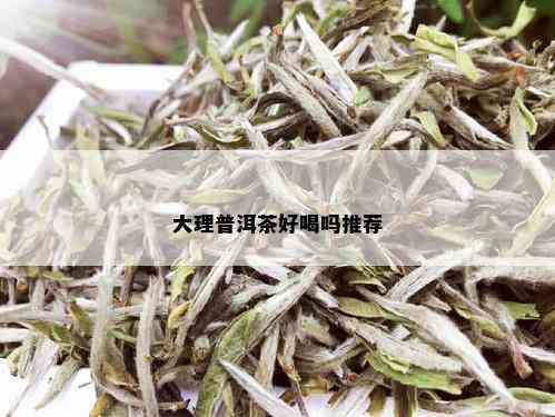 大理普洱茶好喝吗推荐