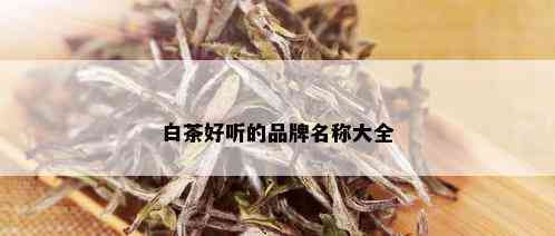 白茶好听的品牌名称大全