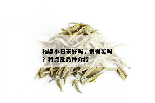 福鼎小白茶好吗，值得买吗？特点及品种介绍