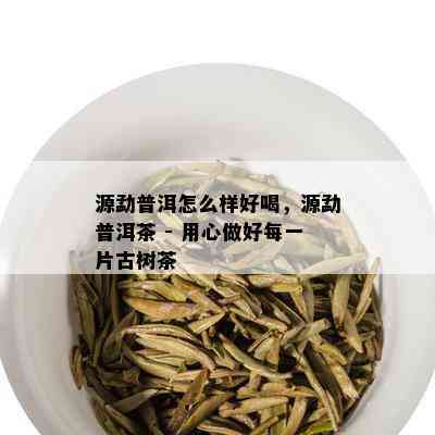 源勐普洱怎么样好喝，源勐普洱茶 - 用心做好每一片古树茶