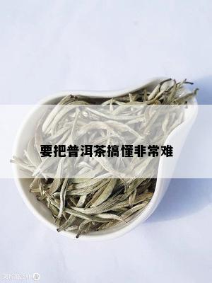 要把普洱茶搞懂非常难