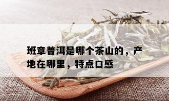 班章普洱是哪个茶山的，产地在哪里，特点口感