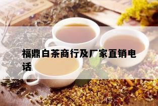 福鼎白茶商行及厂家直销电话